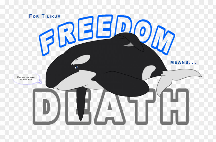Tilikum Killer Whale Dolphin Logo Brand Product Design PNG