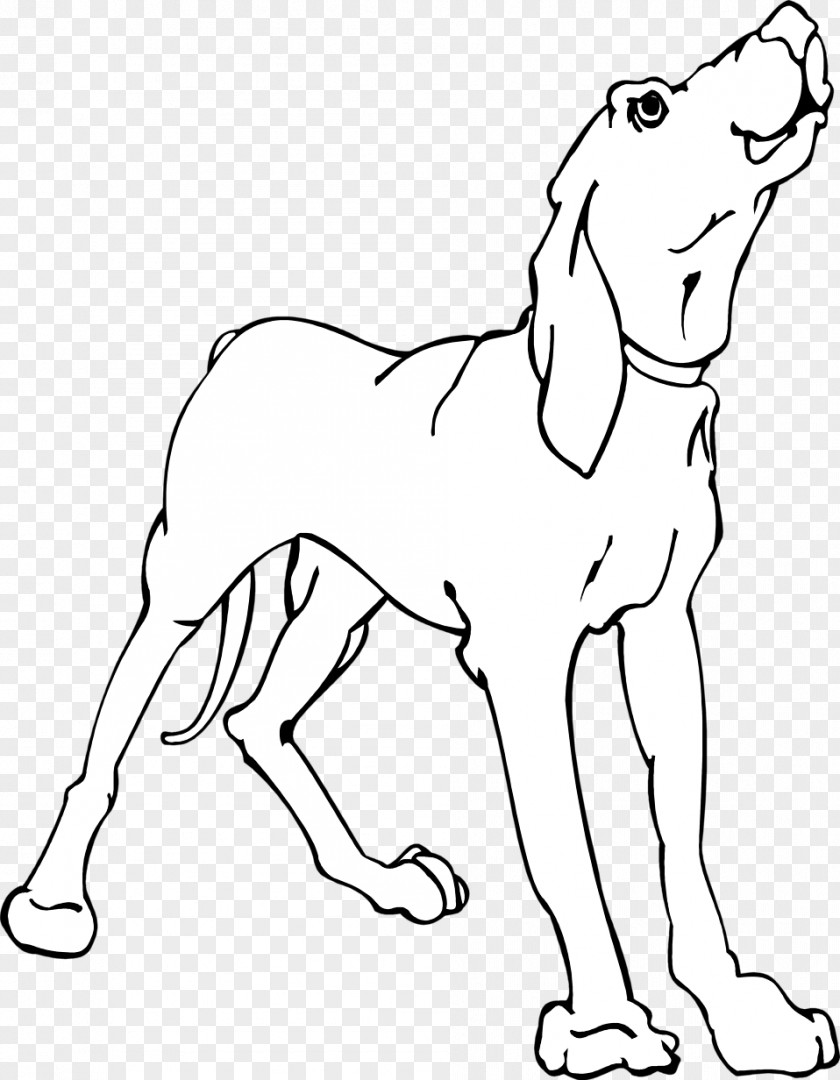 Bone Dog Redbone Coonhound Black And Tan Pet Vertebrate PNG