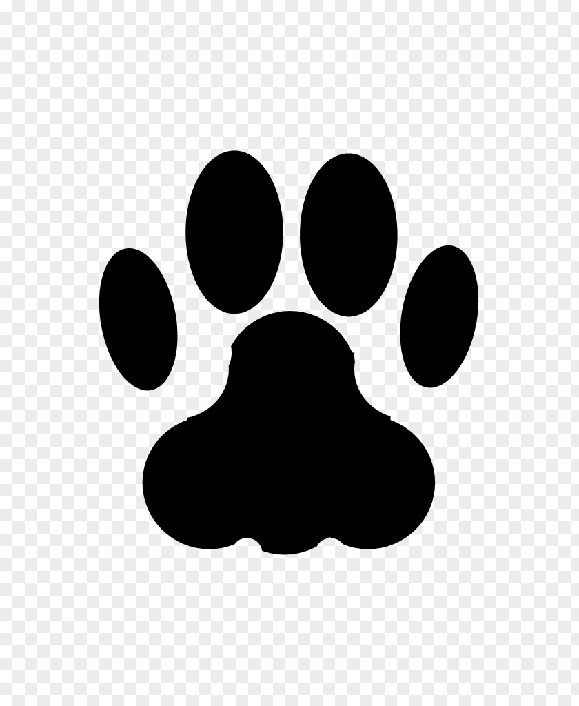Cat Dog Paw Footprint PNG