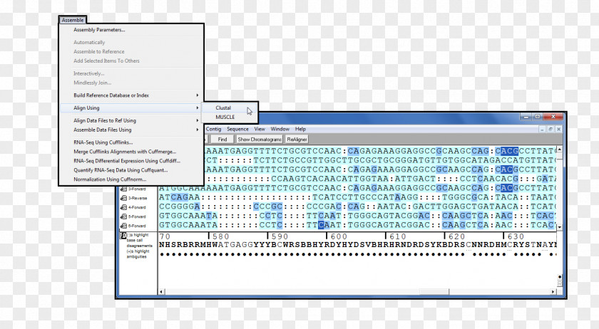 Computer Program Paper Engineering Line PNG