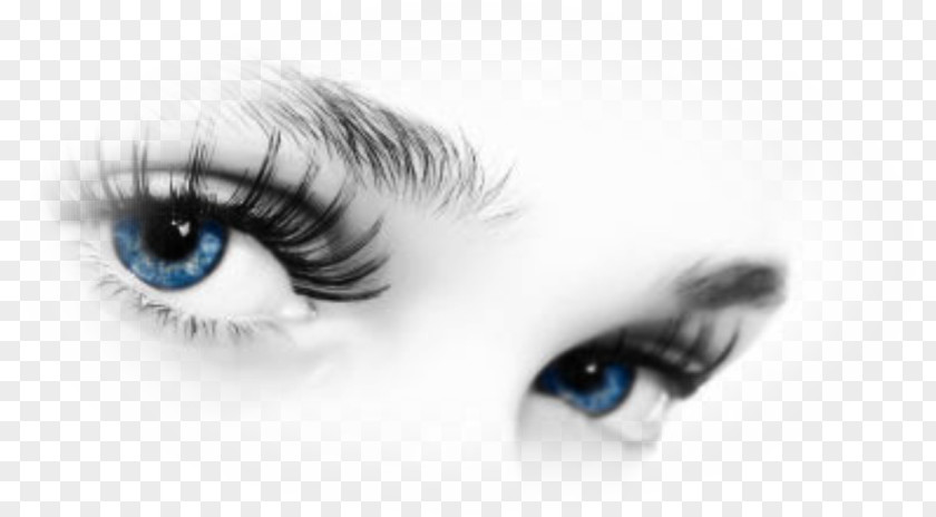 Eye Color Human Eyelash Ardell Lashes Wispies PNG