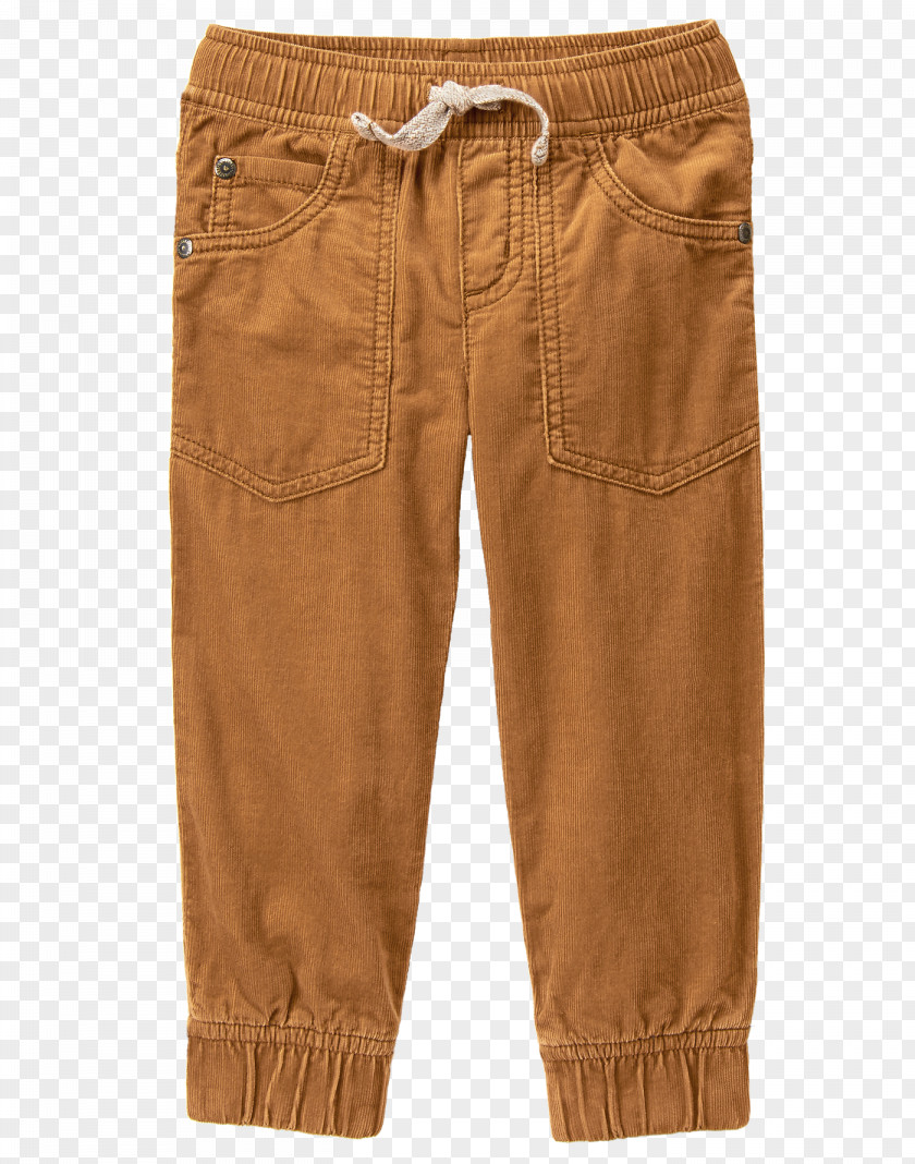 Jeans Shorts PNG