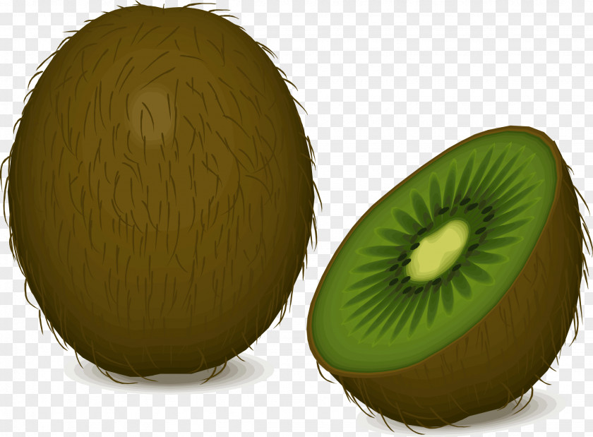 Kiwi Kiwifruit Food Auglis Clip Art PNG