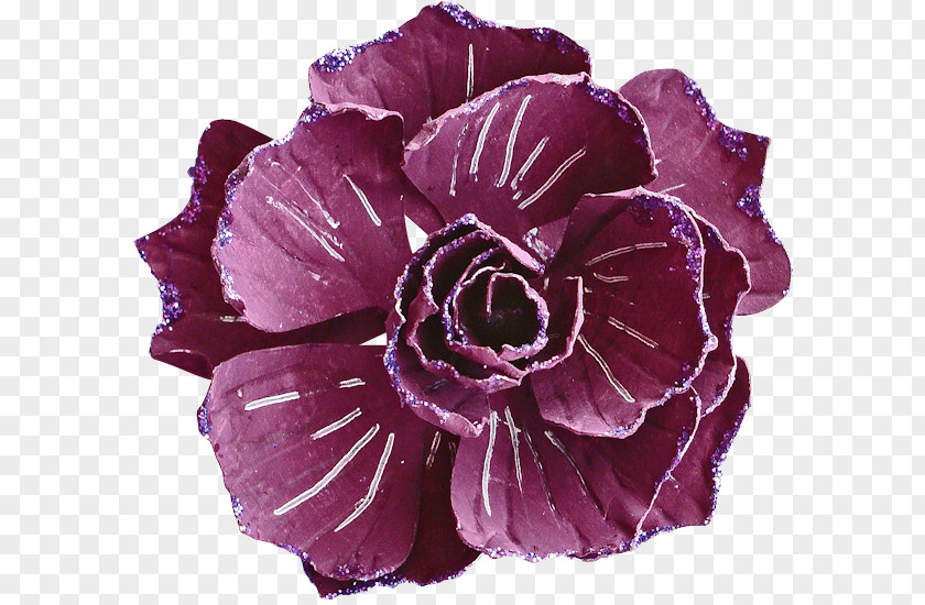 Purple Spaghettieel Petal Download Flower Plant PNG
