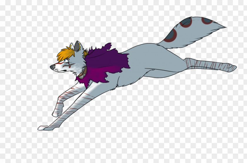 Cat Canidae Horse Dog PNG