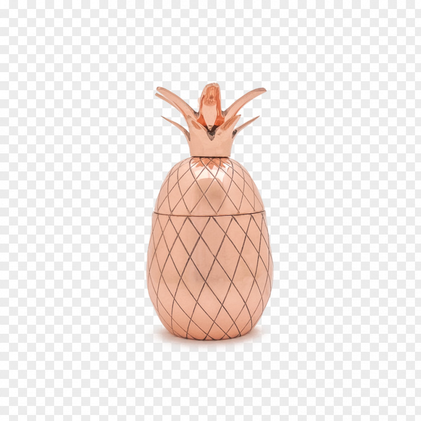 Craft Cocktail Syrups Shakers W&P Design Pineapple Tumbler Silver PNG