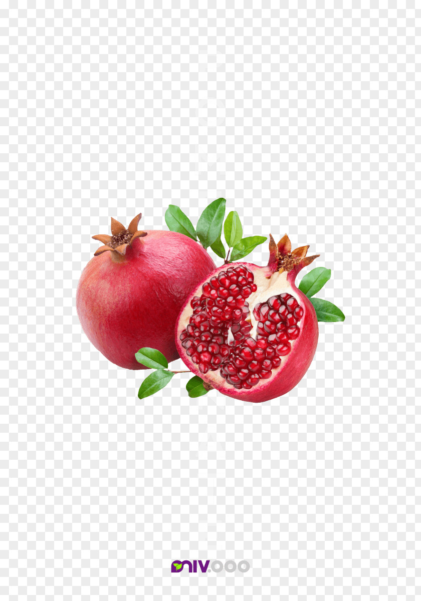 Pomegranate Fruit Juice Concentrate PNG
