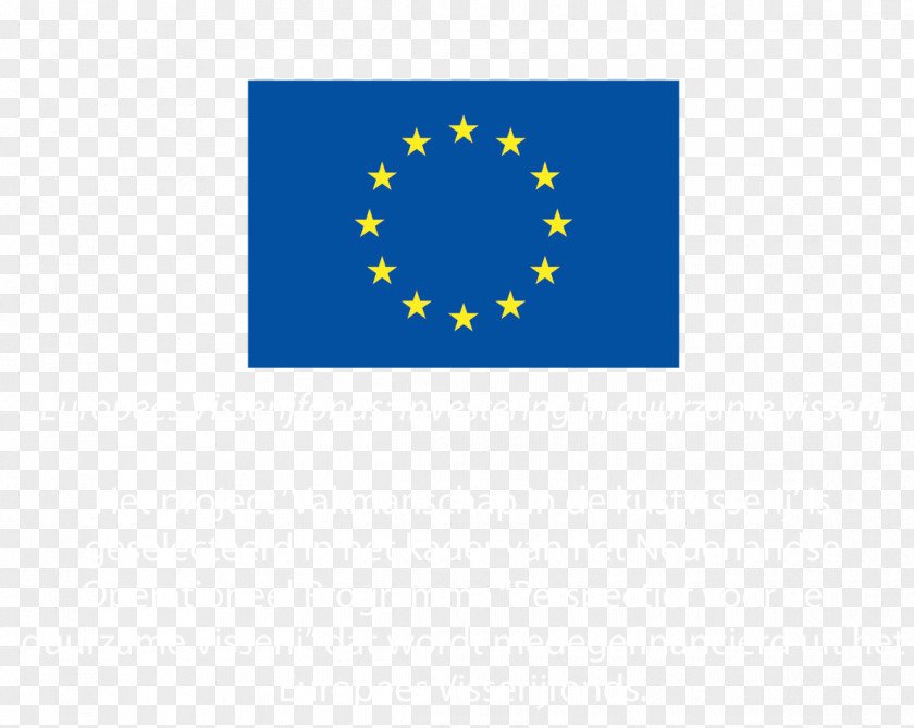 TAILAND Il Diritto Elettorale Nell'Unione Europea: Profili Costituzionali Comparati European Union Logo Lifelong Learning Programme 2007–2013 Brand PNG