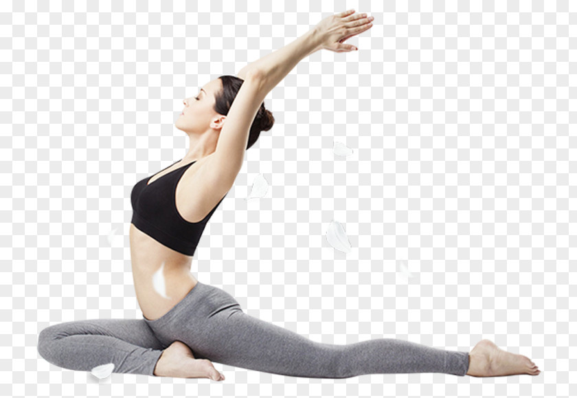 Yoga Fitness Centre Physical Personal Trainer PNG