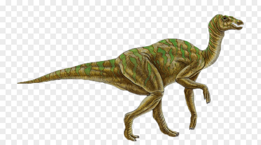 Dinosaur Hadrosaurus Jaxartosaurus Late Cretaceous Spinosaurus Indosaurus PNG