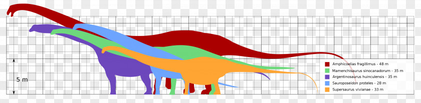 Dinosaur Size Argentinosaurus Supersaurus Sauroposeidon Mamenchisaurus PNG