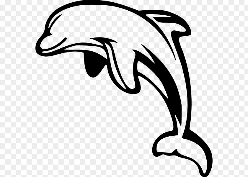 Dolphin Clip Art Openclipart Chinese White Download PNG