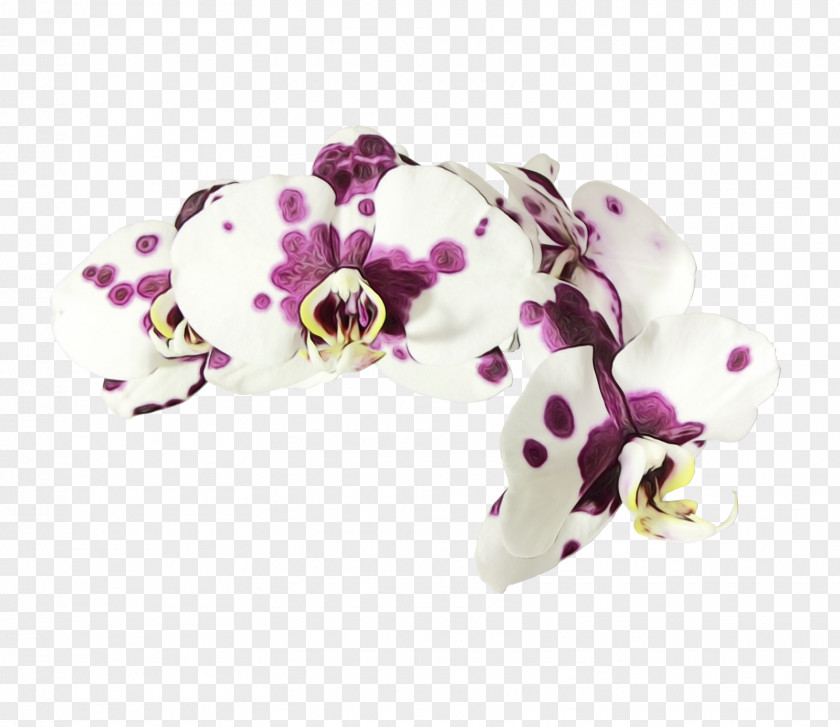 Gemstone Hair Accessory Violet Fashion Jewellery Flower Moth Orchid PNG