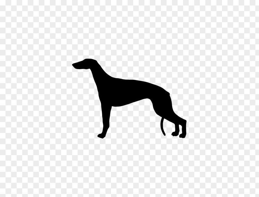 Greyhound Italian Whippet Sloughi Spanish PNG