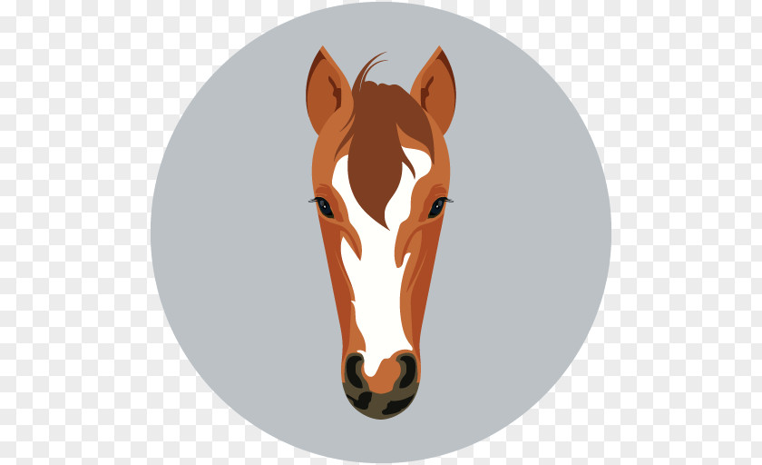 Horse Mane Face PNG