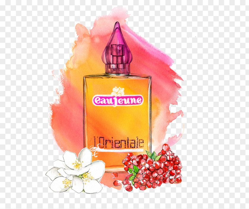 Perfume Bottle Eau Jeune Fashion Illustration PNG