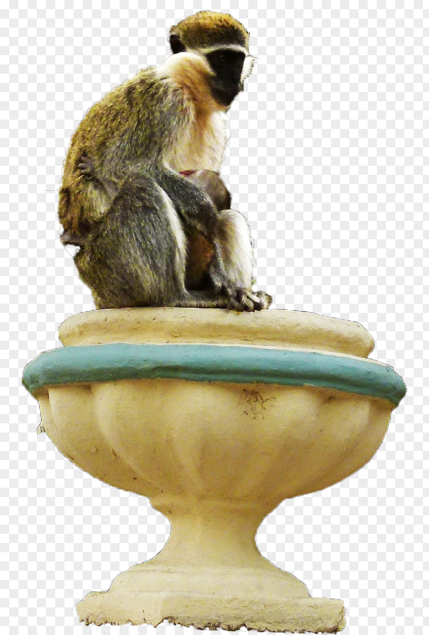 Preist Figurine Monkey PNG