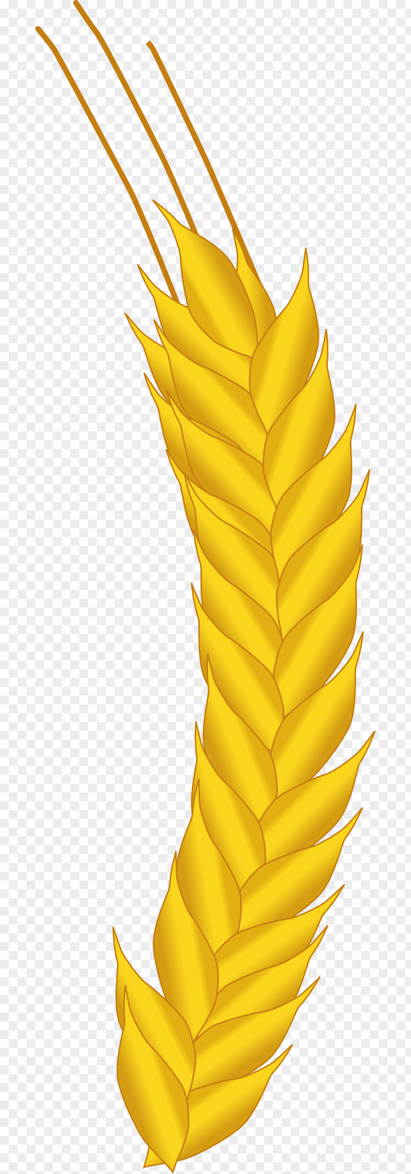 Wheat Clip Art PNG