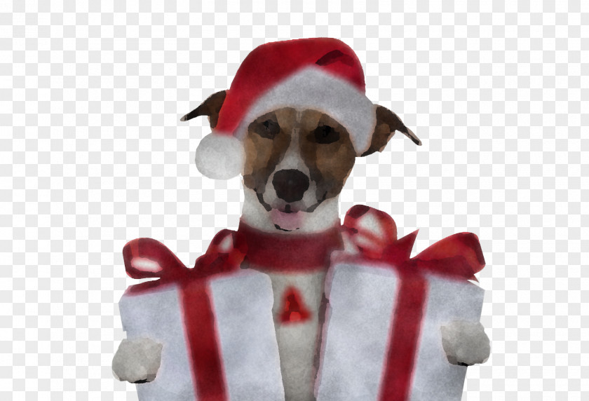 Dog Jack Russell Terrier Parson Rat PNG