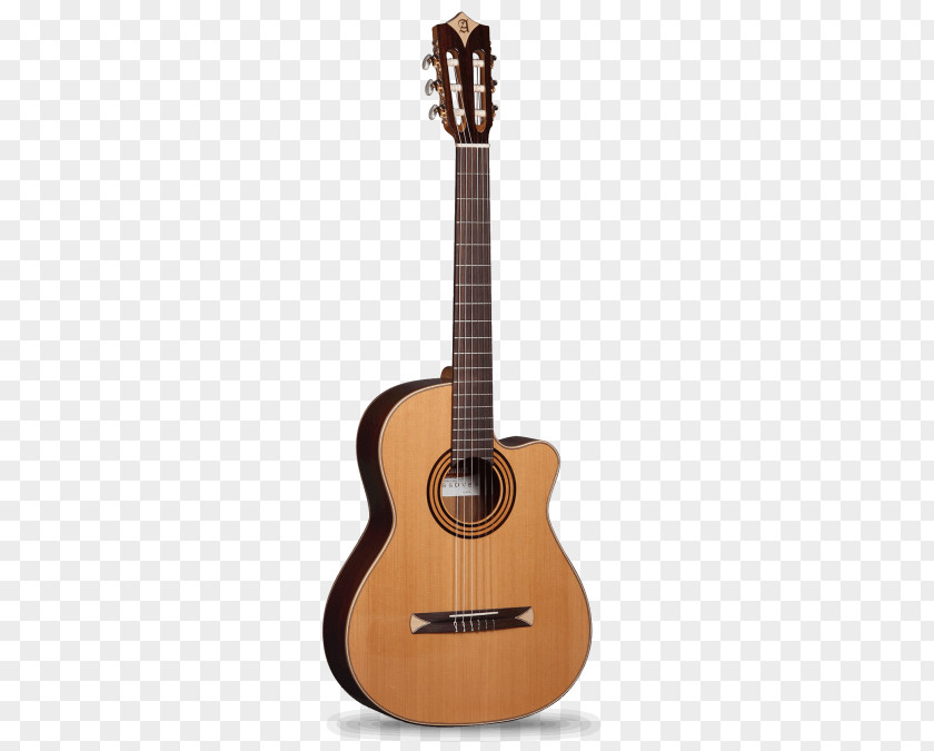 European Wind Stereo Alhambra Classical Guitar Acoustic B.C. Rich PNG