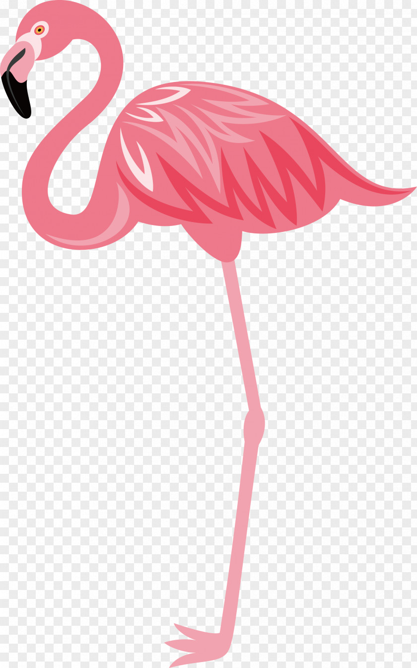 Hand-painted Flamingos Bird Euclidean Vector PNG