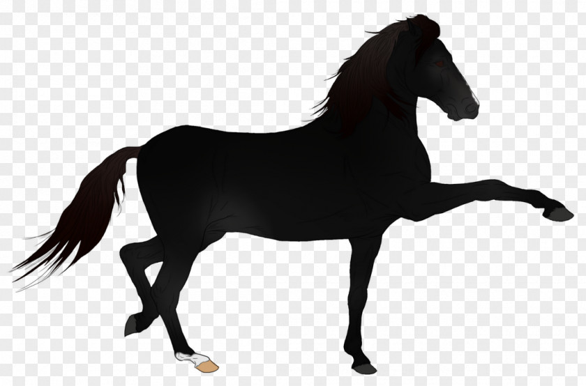 Mustang Stallion Australian Stock Horse Pony Rein PNG