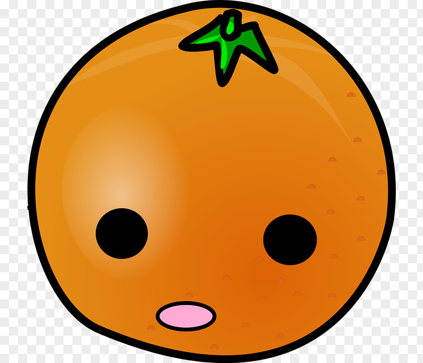 Orange Clip Art Vector Graphics Cartoon Image PNG