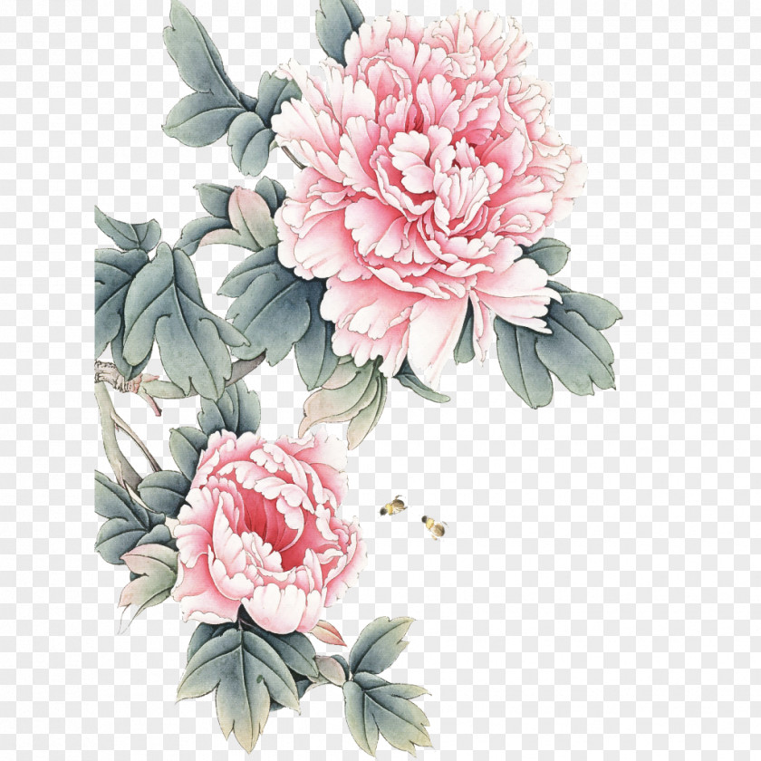 Petal Chinese Peony Flower Pink Plant Cut Flowers PNG