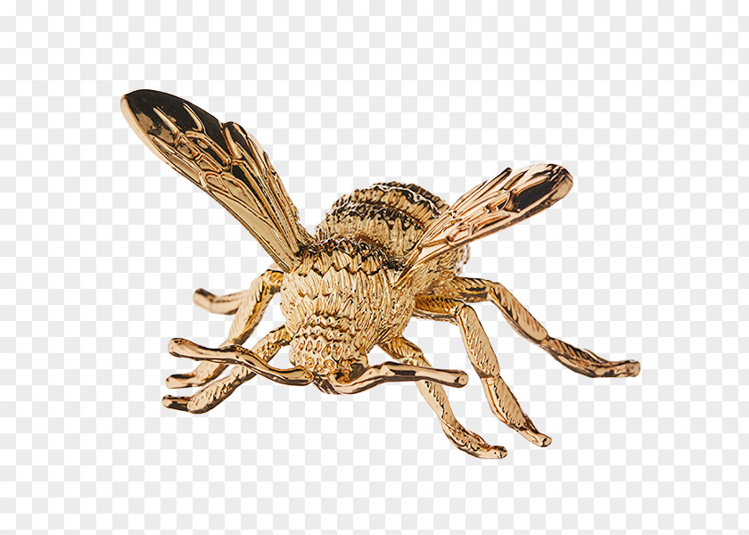 Queen Bee Insect PNG