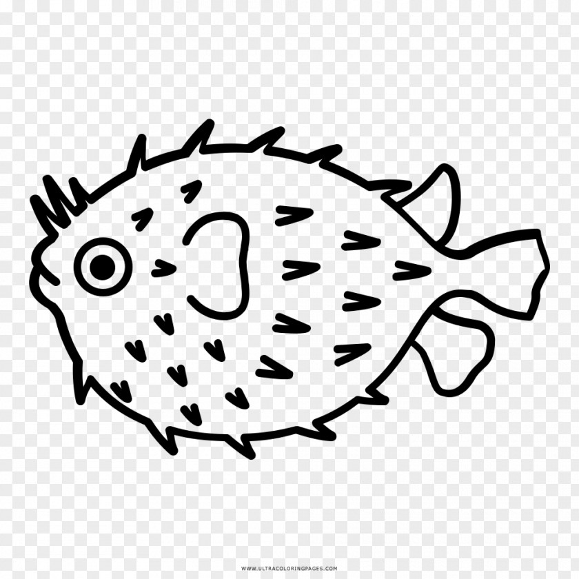 Valentine's Day Pufferfish Drawing PNG