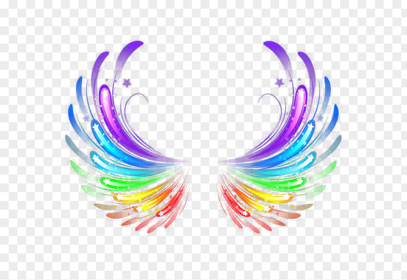 Color Wings Light Wing Feather Halo PNG