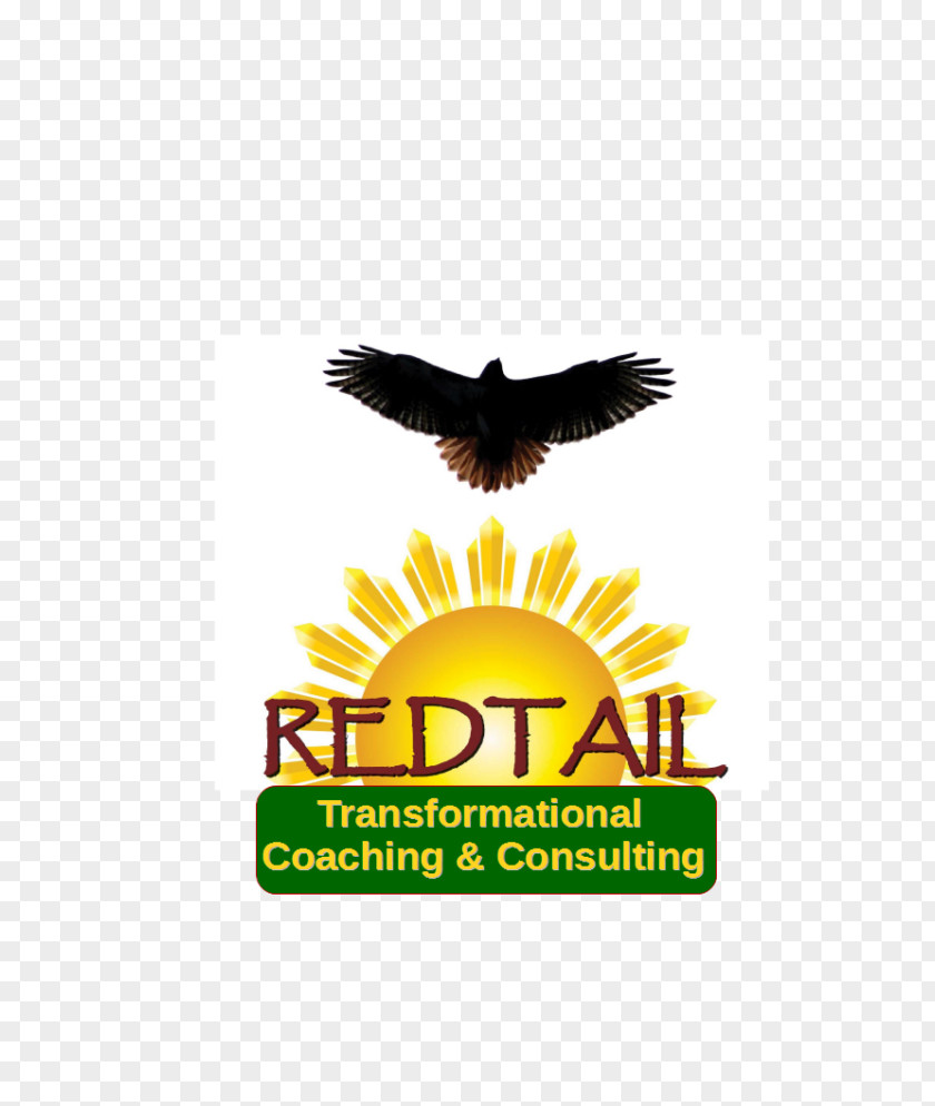 Eagle Logo Advertising Red-tailed Hawk Brand PNG
