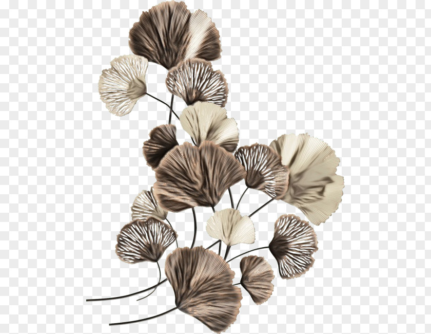 Petal Flower PNG