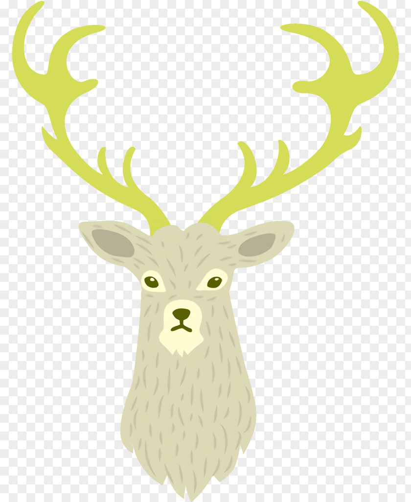 Wildlife Horn Reindeer Christmas PNG
