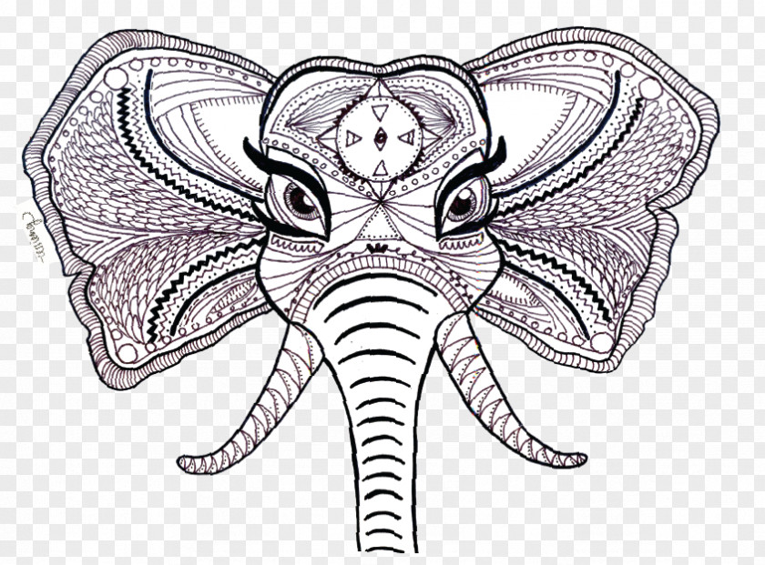 Butterfly Insect Drawing /m/02csf Line Art PNG