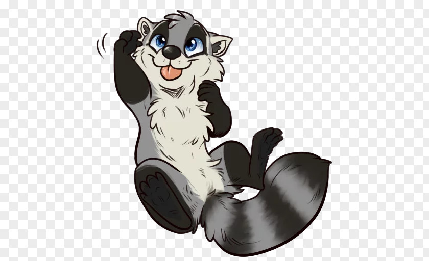 Cat Whiskers Raccoons Sticker Mammal PNG