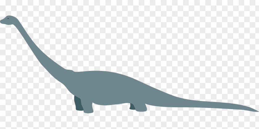 Dinosaur Tyrannosaurus Reptile Apatosaurus Diplodocus PNG