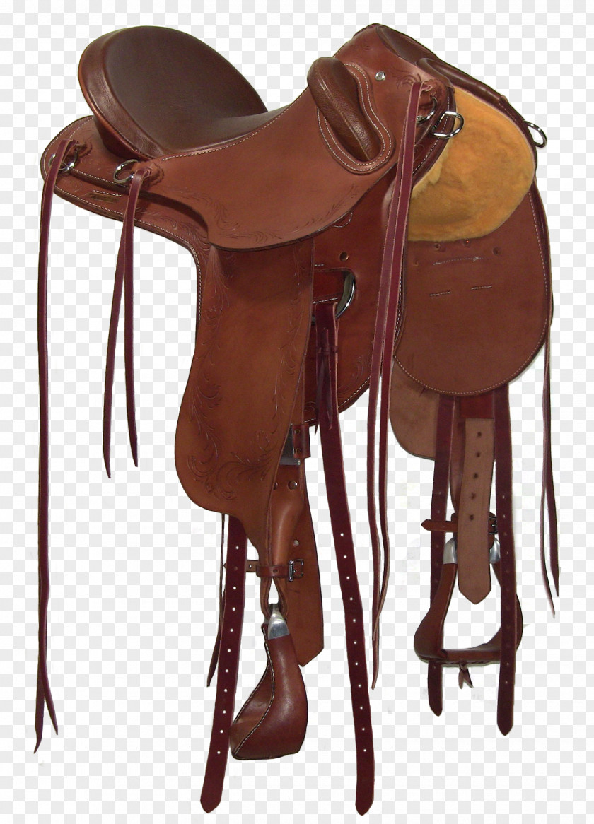 Horse Western Saddle Rein Bridle PNG