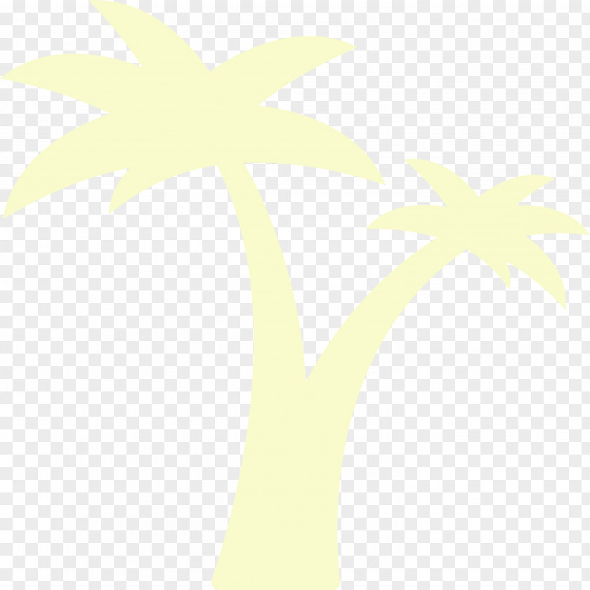 Palm Trees PNG