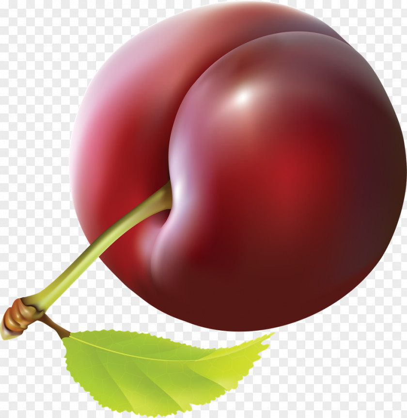 Plum PNG