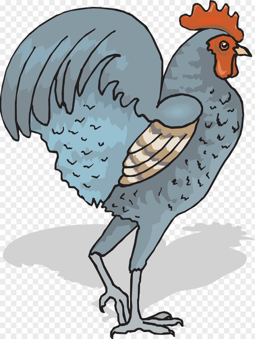 Rooster Chicken Bird Livestock Clip Art PNG