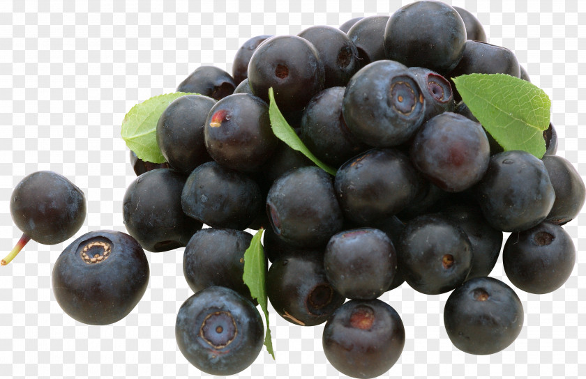 Blueberries Blueberry Grape Frutti Di Bosco Bilberry PNG