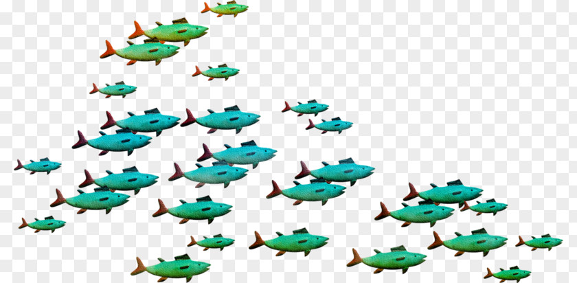 Fish Flock Digital Image Clip Art PNG