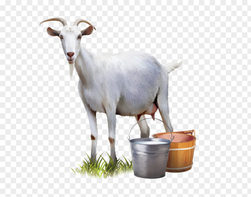 Goat's Milk Goat Automatic Milking PNG