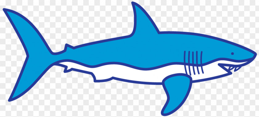 Shark Drawing Clip Art Finning Dorsal Fin PNG