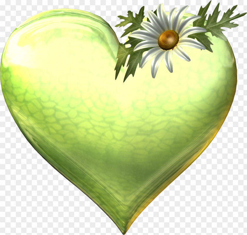 Creative Heart Animation PNG