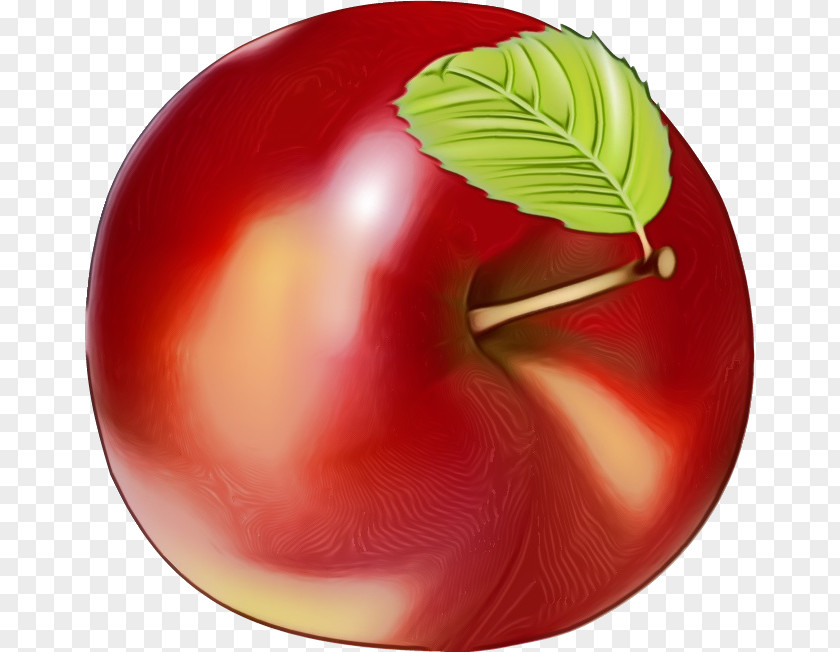 Dishware Food Fruit Cartoon PNG