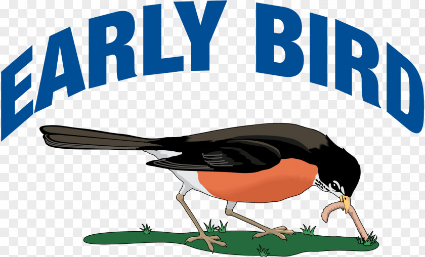 Early Bird Earthworms Travel Insurance Canadian Snowbird Association PNG