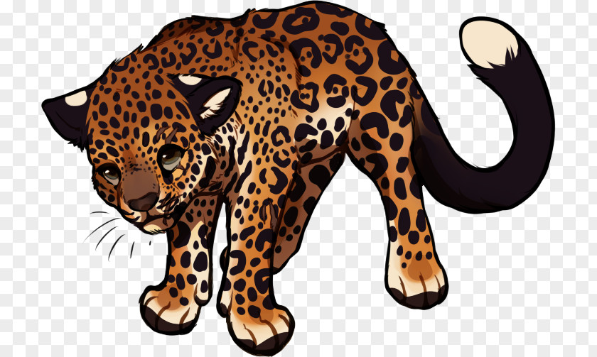 Leopard Jaguar Tiger Cheetah Ocelot PNG