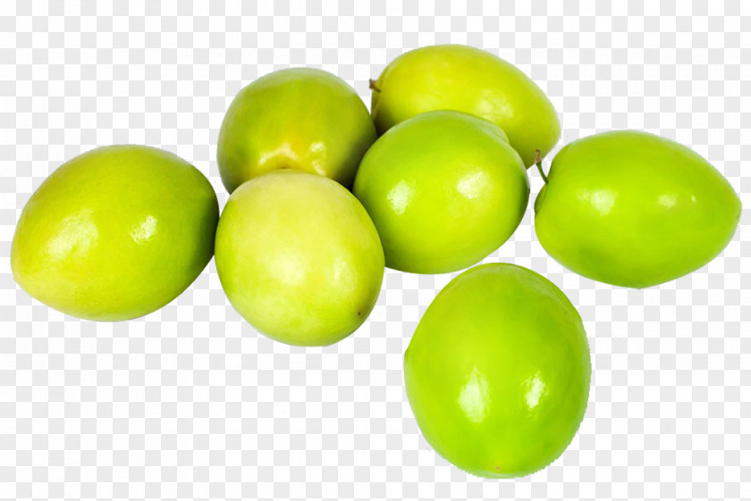 Olive Fruit Berry PNG